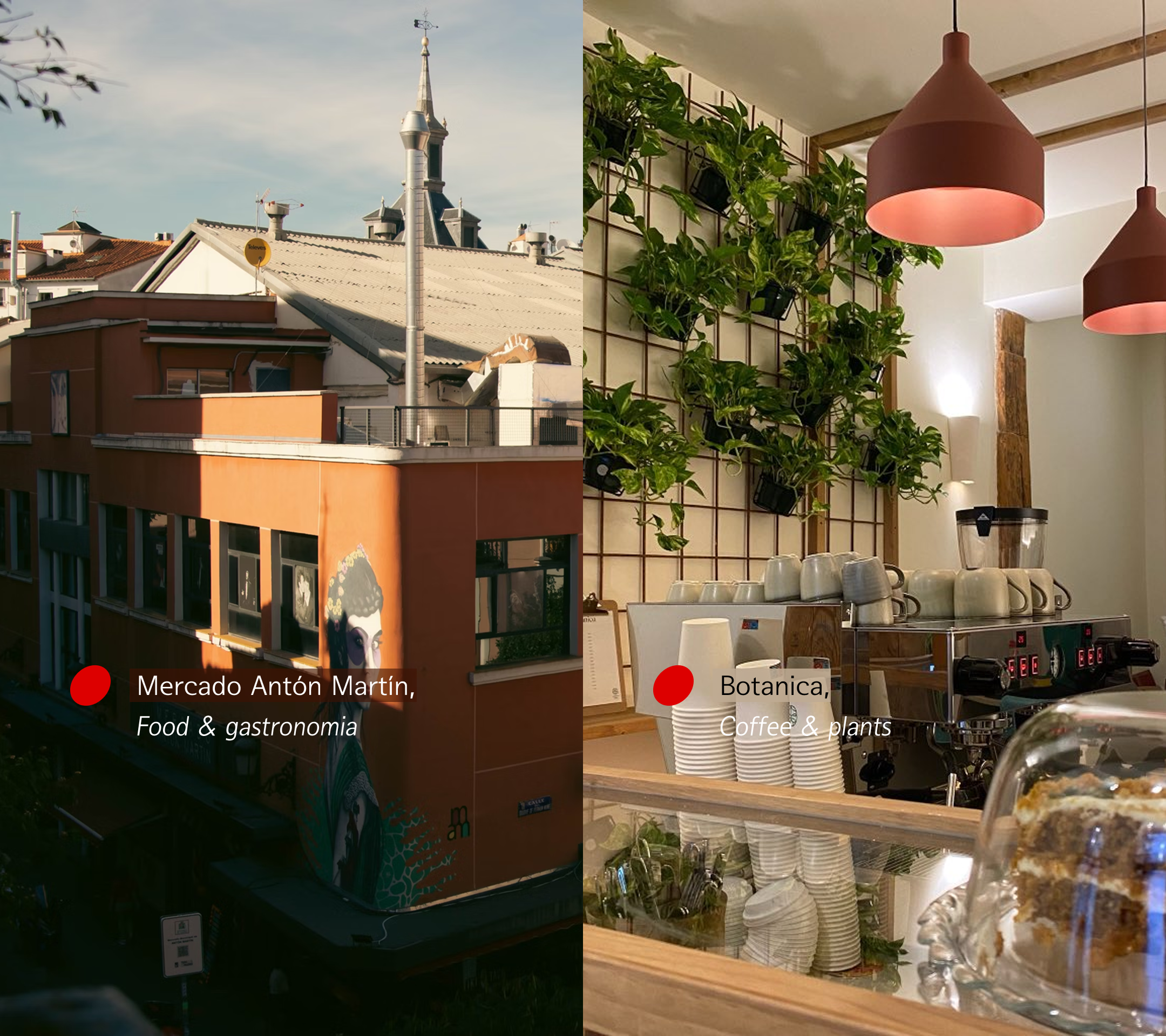 Las letras Anton Martin Mercado and Botanico cafe Salute Guide to Madrid.png