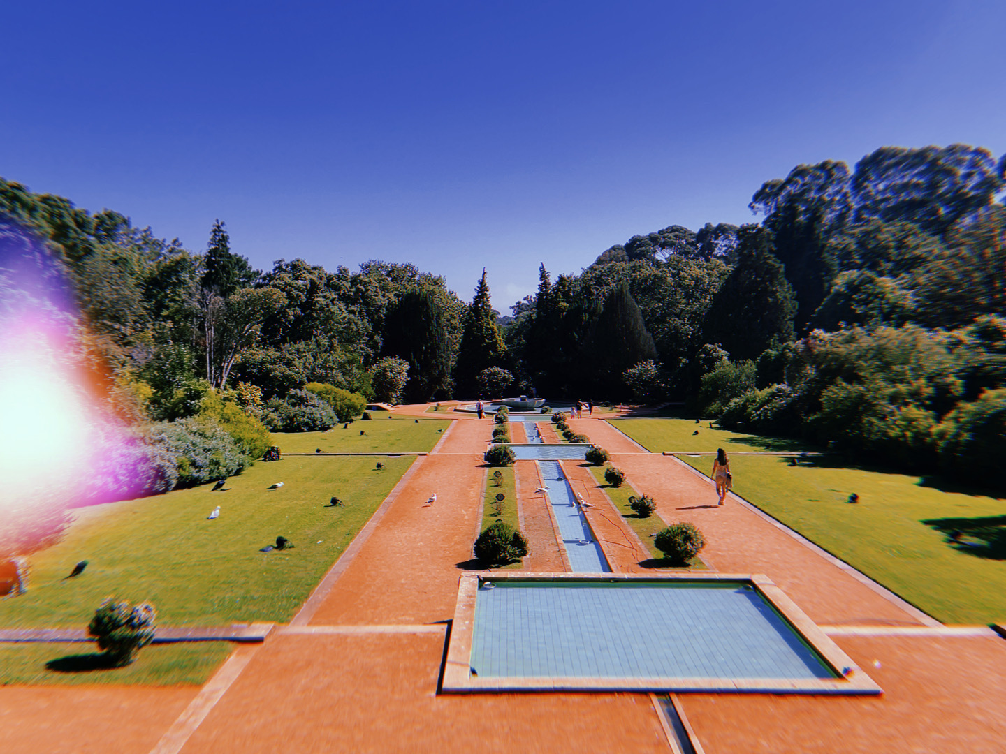 Serralves Museum