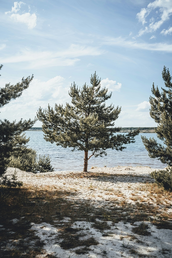 One day in Uckermark: where art, nature, and style meet