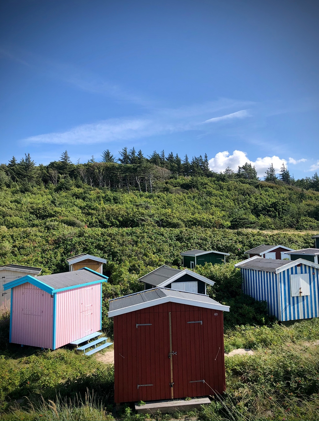 From Copenhagen to Tisvildeleje: Pines, Sand, and Sea Bread
