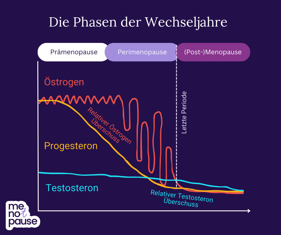 Bildbeschreibung