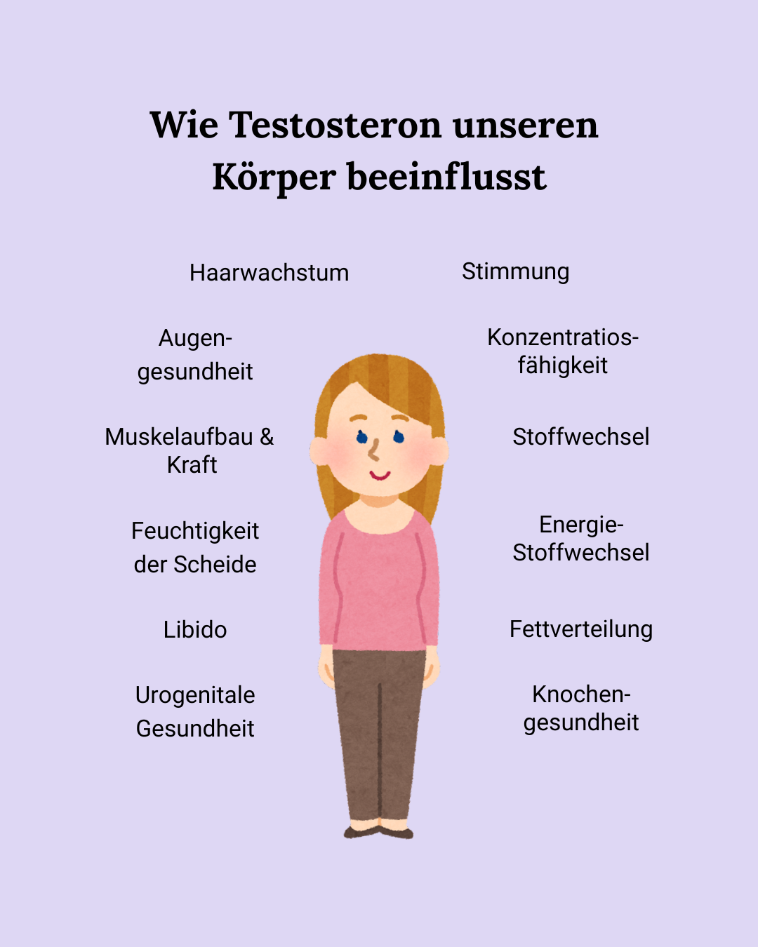 Artikelbild Funktion von Testosteron in den Wechseljahren