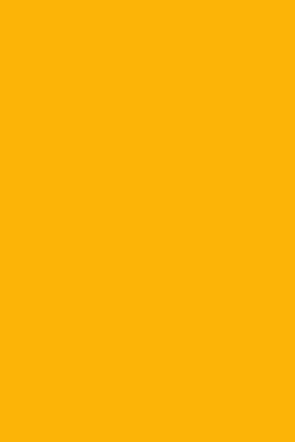 SS26 COLOR TREND