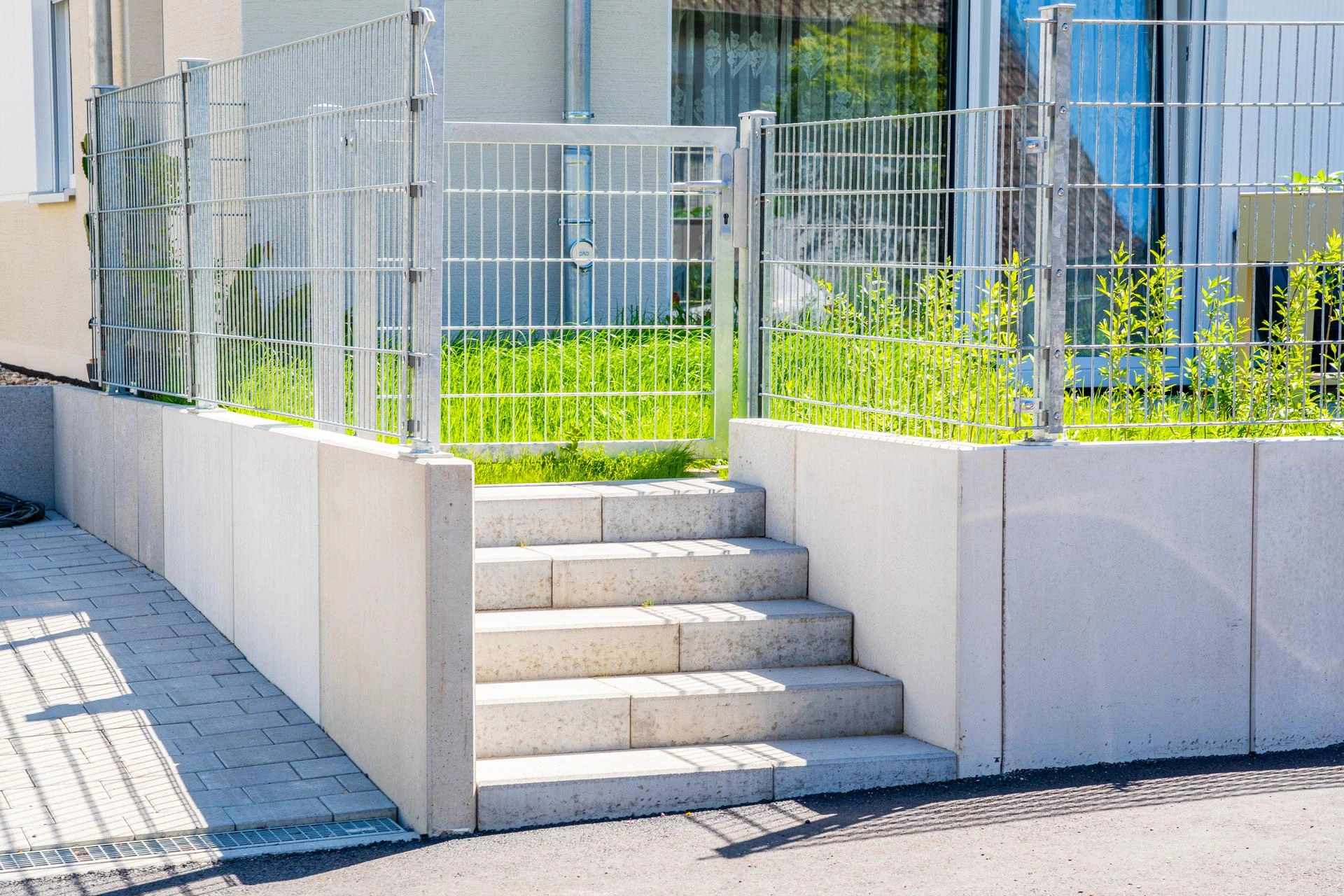 Bild
