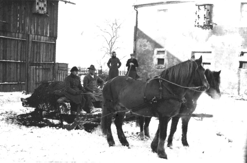 Im Schatten der alten Eiche: Wenn drei Männer säen wie ihre Großväter