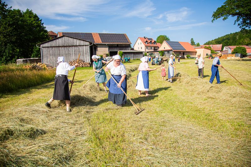 Heuernte wie anno dazumal