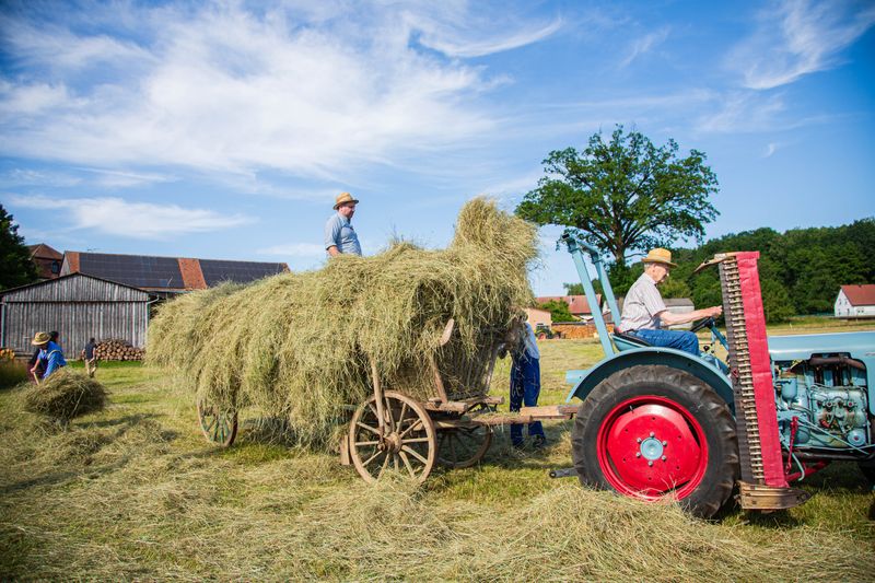 Heuernte wie anno dazumal