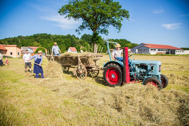 Heuernte wie anno dazumal