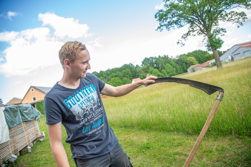 Heuernte wie anno dazumal