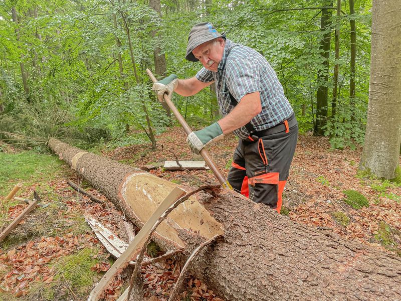 Titelbild: Mit Zugsäge, Axt und Schäleisen: Hessenreuther Waldarbeit wie vor 100 Jahren