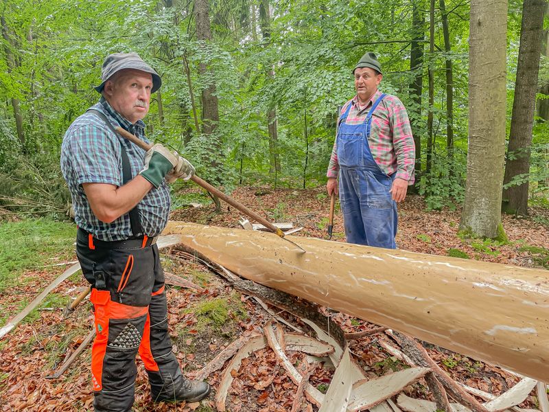 Mit Zugsäge, Axt und Schäleisen: Hessenreuther Waldarbeit wie vor 100 Jahren