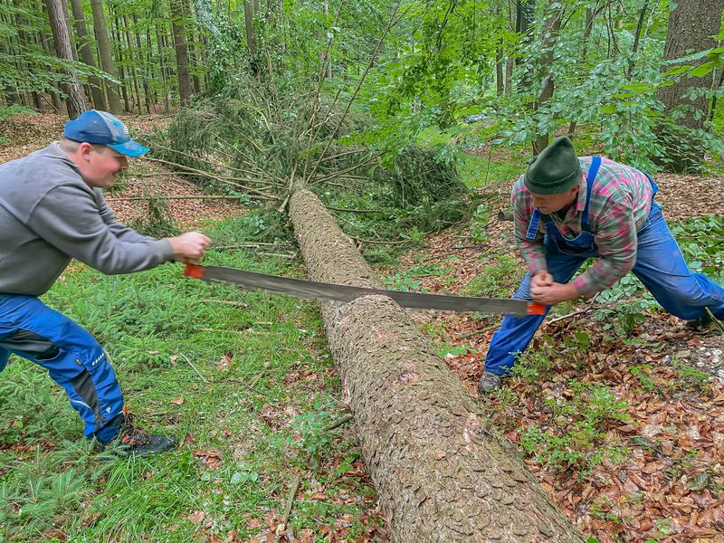 Mit Zugsäge, Axt und Schäleisen: Hessenreuther Waldarbeit wie vor 100 Jahren