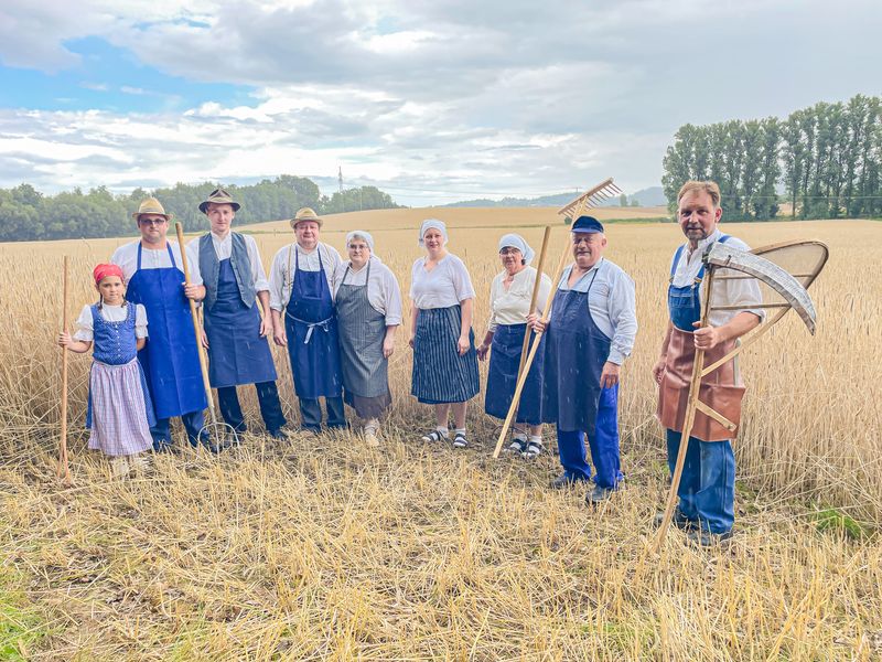 Titelbild: Mit dem „Wachlerer“ durchs Korn