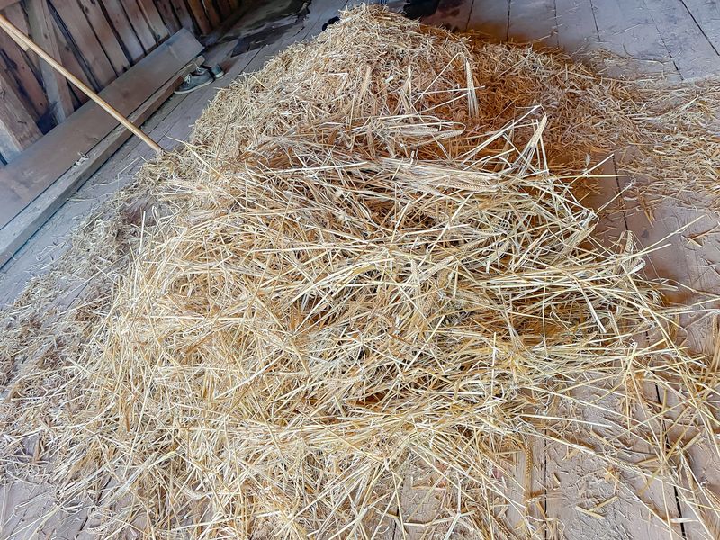 Im Rhythmus der Dreschflegel