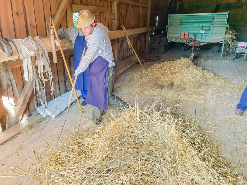 Im Rhythmus der Dreschflegel