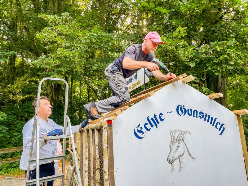 Im Schatten des Schlosses