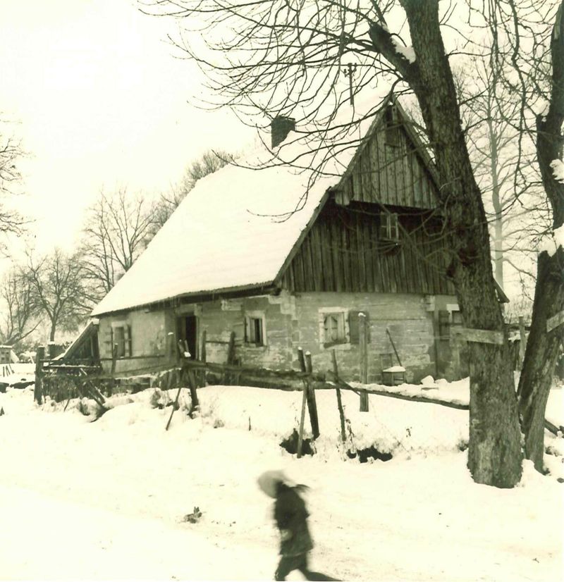 Im Schatten des Schlosses