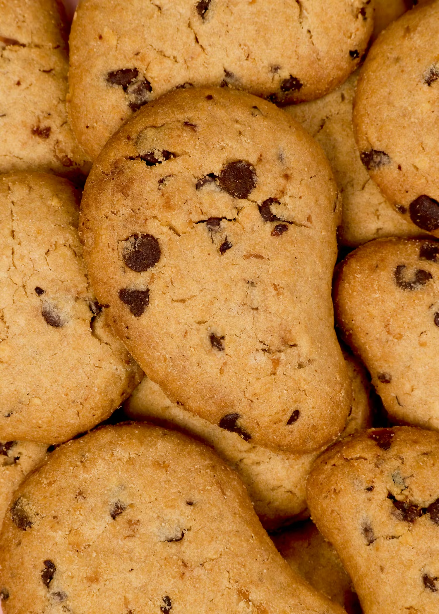 IT_COOKIE_21_MACRO.jpg