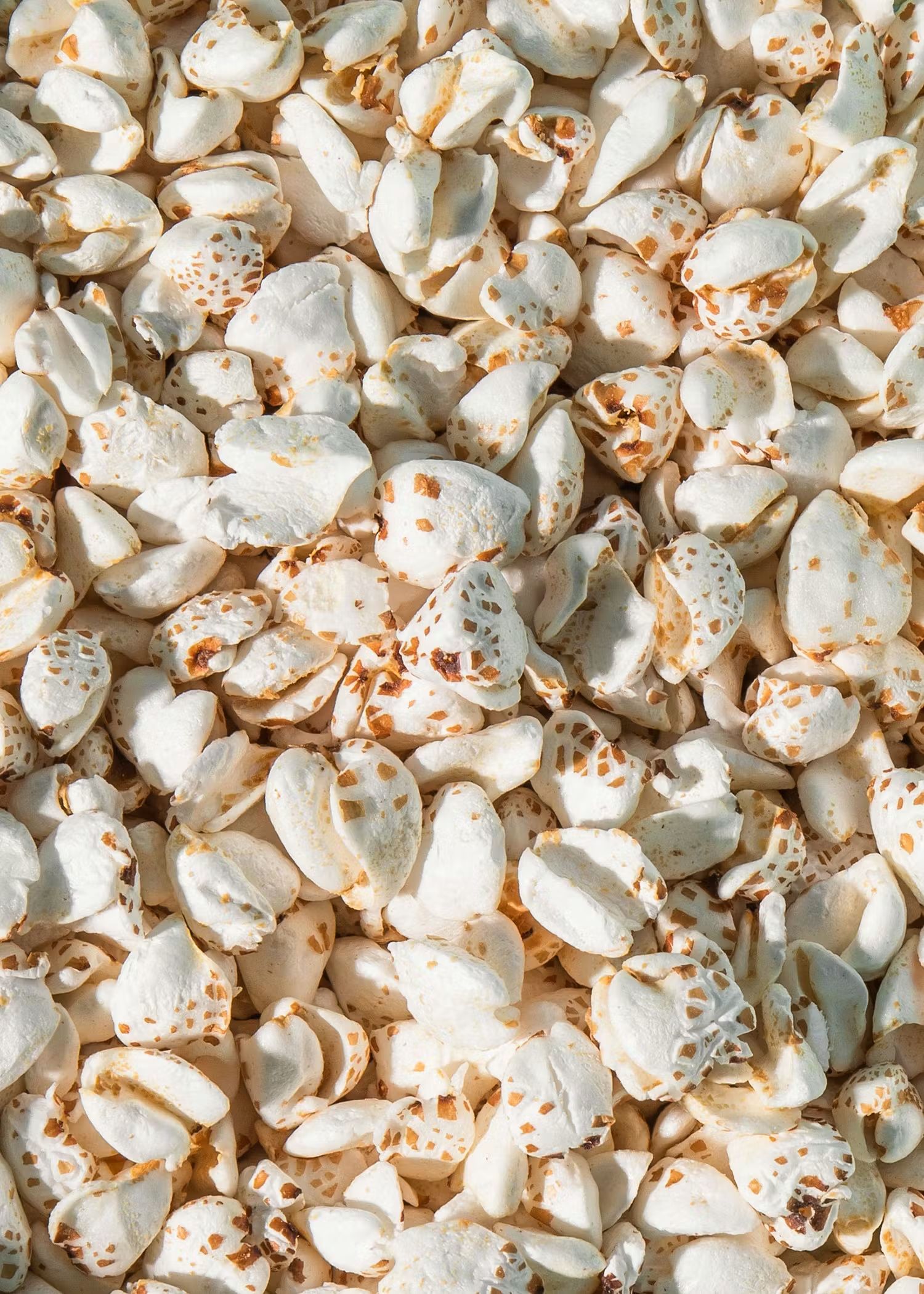 Fiocchi di grano saraceno soffiato visti da vicino