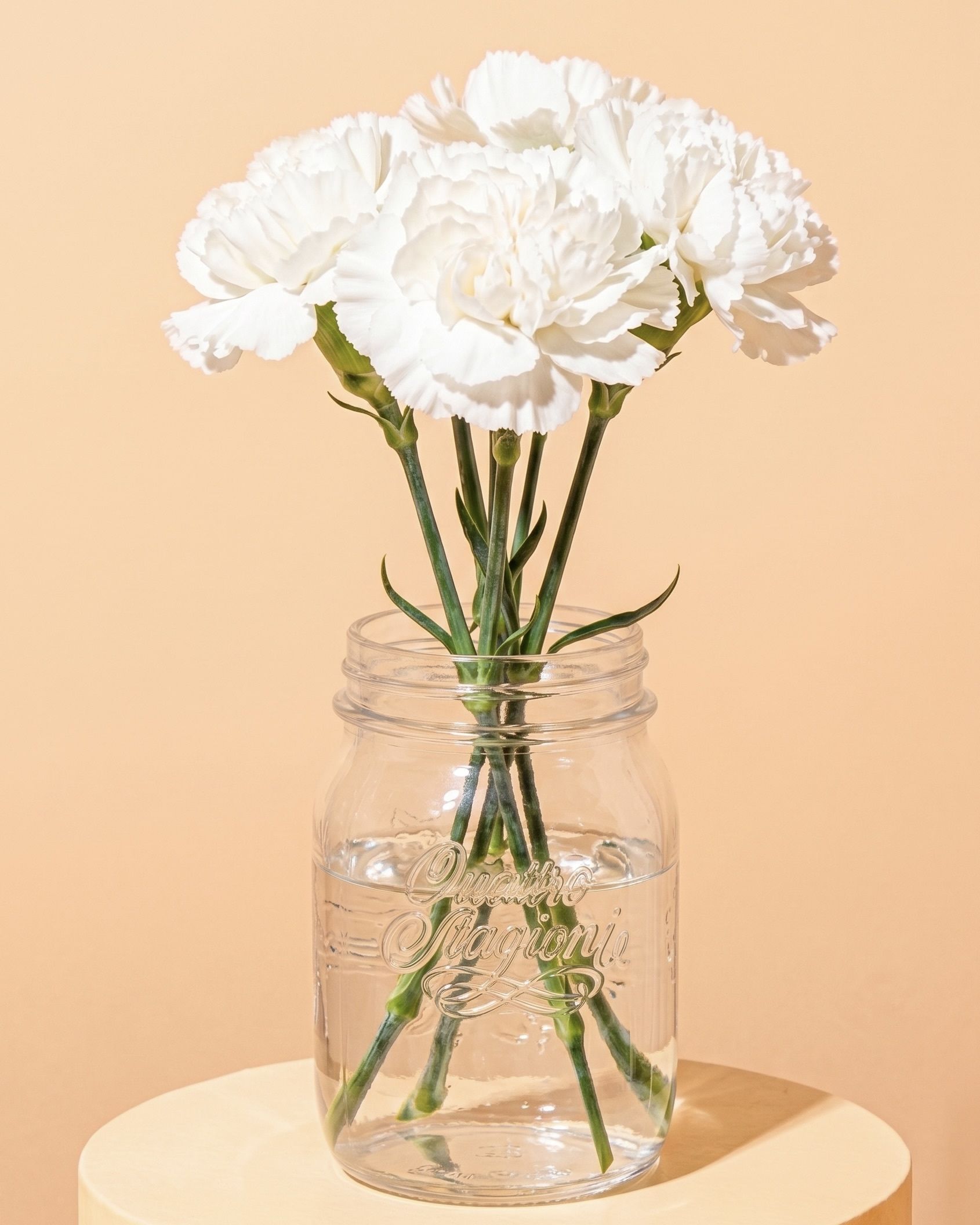 Weiße Nelken in einem Bormioli QUATTRO STAGIONI Vorratsglas, das als Blumenvase mit Wasser genutzt wird, auf einem beigen Podest.