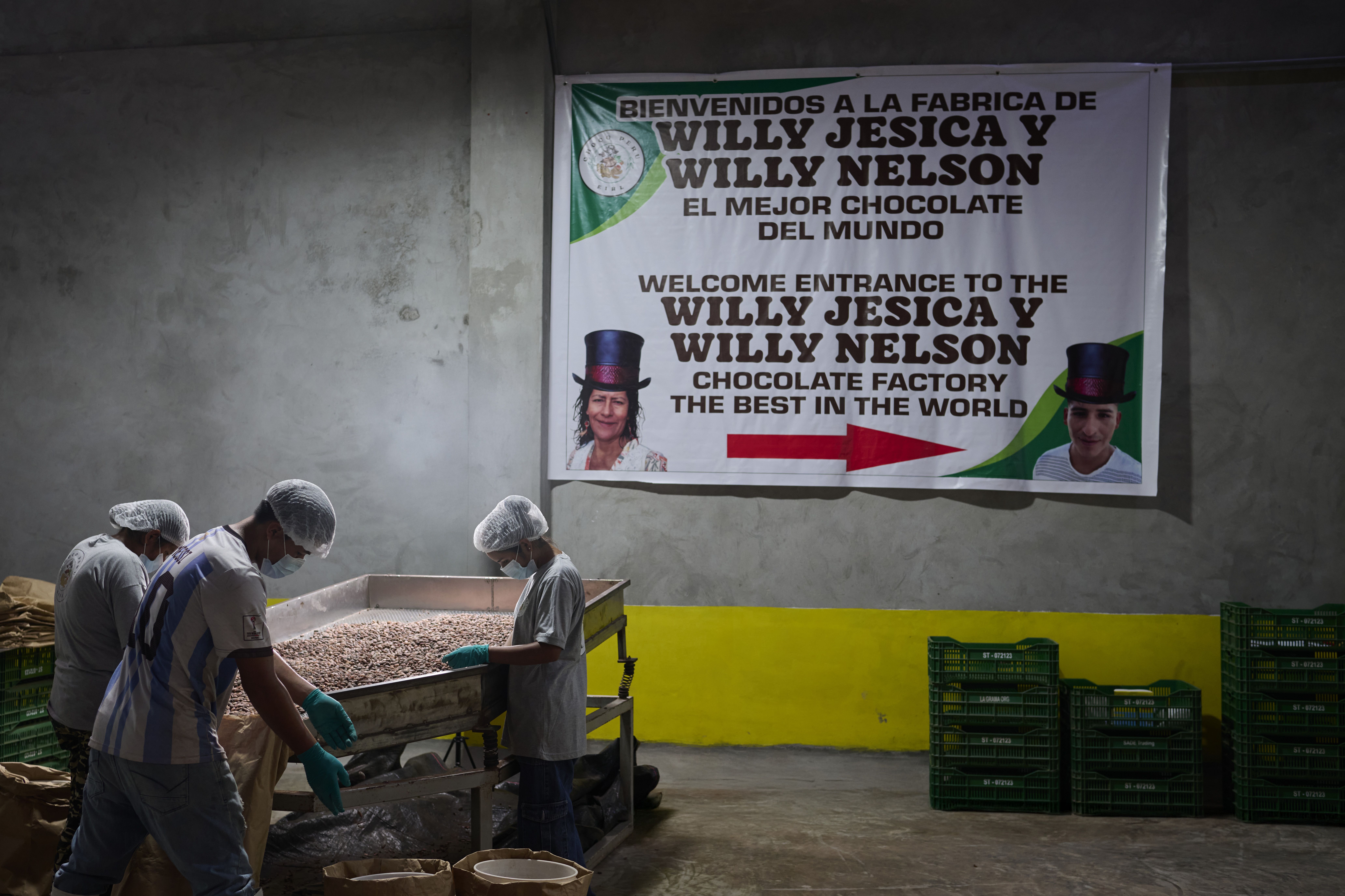 Drei Arbeiter in Schutzkleidung sortieren Kakaobohnen in der peruanischen Schokoladenfabrik von Willy Jesica und Willy Nelson.