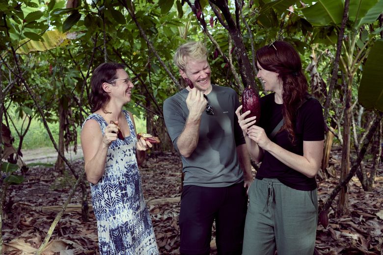 KoRo-CEO Flo und Head of Sustainability Christina auf einer Kakaoplantage in Peru beim Begutachten frisch geernteter, purpurroter Kakaoschoten.