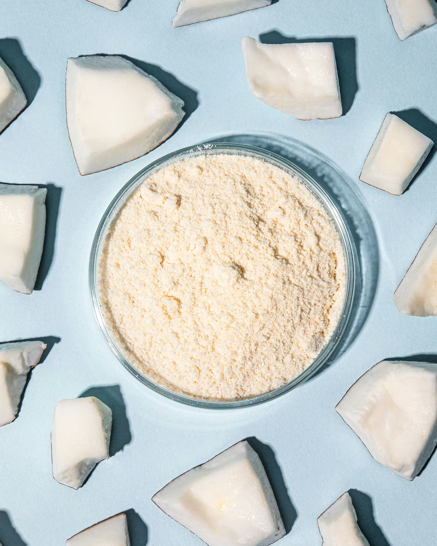 Eine gläserne Schale mit feinem Kokosmehl in der Mitte, umringt von frischen Kokosnussstücken auf einem hellblauen Hintergrund.