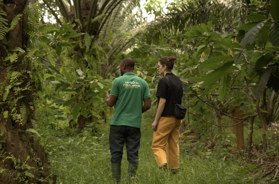Zwei Personen gehen rückwärts gerichtet durch eine dichte, grüne Plantage. Der Mann trägt ein grünes Polo-Shirt mit der Aufschrift „SAY NO TO CHILD LABOUR“, die Frau ein schwarzes T-Shirt und eine gelbe Hose.   