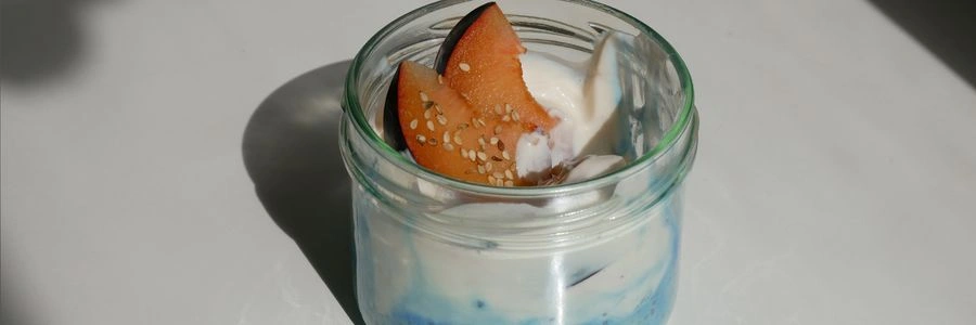 Blue Vanilla Protein Chia Pudding (vegan & glutenfrei)