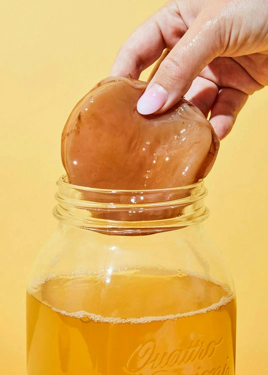 Faire son propre kombucha : comment ça marche !