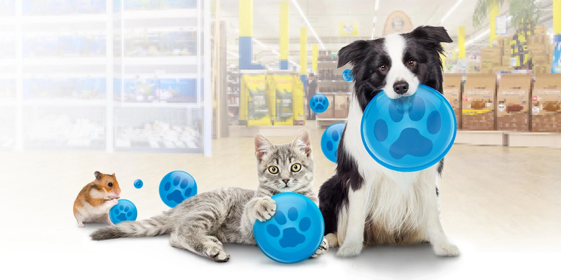 Hund, Katze und Hamster mit blauen Punkten in einer QUALIPET-Filiale