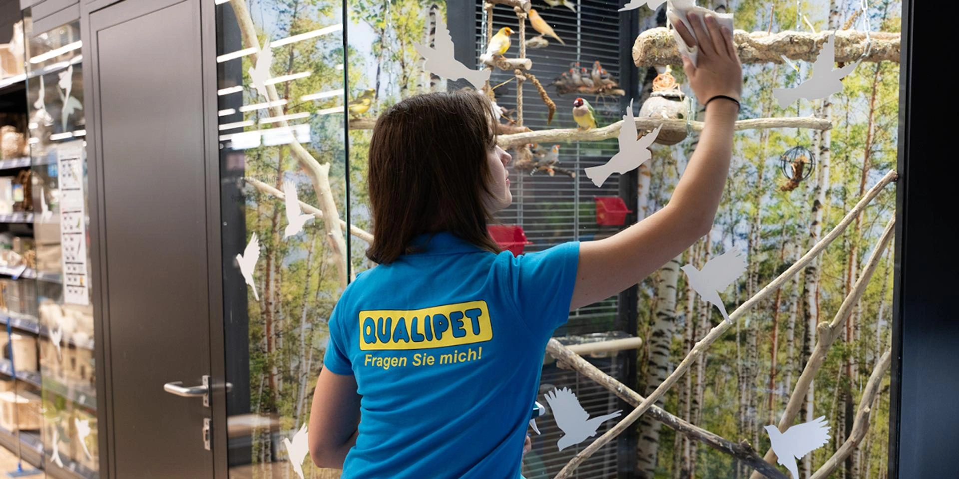 Junge Frau von hinten beim Reinigen des Glases einer Voliere – blaues T-Shirt mit gelber Aufschrift „Qualipet, Fragen Sie mich!“