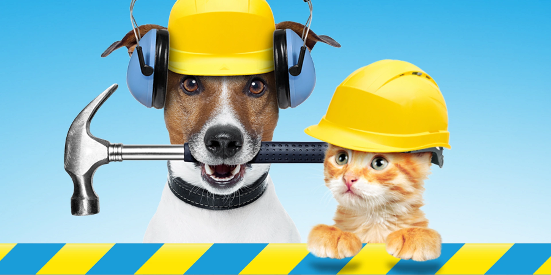 Hund und Katze mit Bauhelm und Hammer