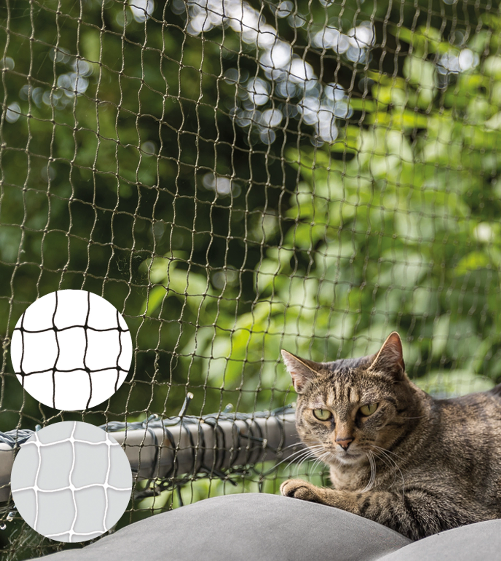 Getigerte Katze auf Balkon hinter Katzennetz, links Detailansicht des Netzes in Grün und Transparent