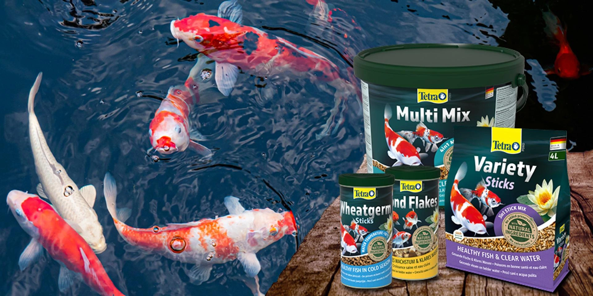 Koi-Fische schwimmen im Gartenteich, daneben Tetra Teichfutter Multi Mix, Variety Sticks und Wheatgerm