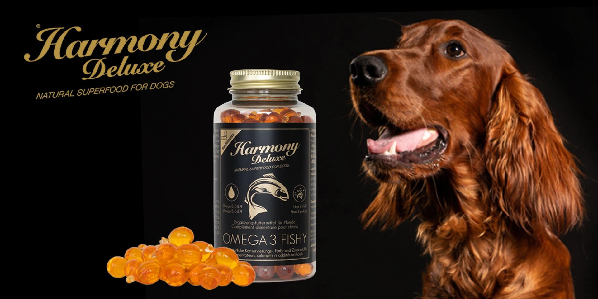 Brauner Hund rechts, links Harmony Deluxe Omega 3 Fishy Dose mit goldenem Deckel und orangefarbenen Kapseln auf schwarzem Hintergrund