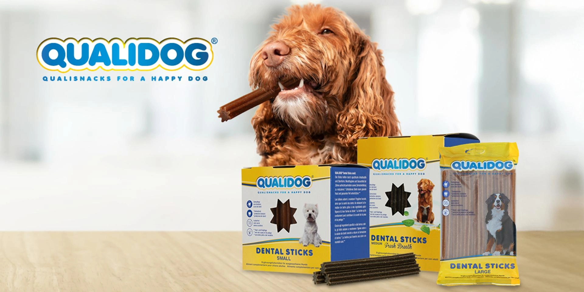 Brauner, lockiger Hund mit braunem Dentalstick im Maul, davor drei QUALIDOG Dental Sticks Packungen auf einem hellen Holztisch.