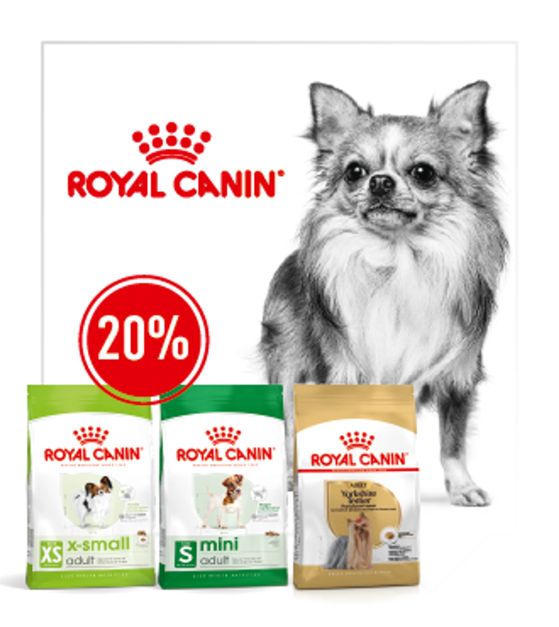 ROYAL CANIN Hundefutter mit 20 % Rabatt vor einem schwarz-weissen Chihuahua und verschiedenen Trockenfutterverpackungen für kleine Hunderassen