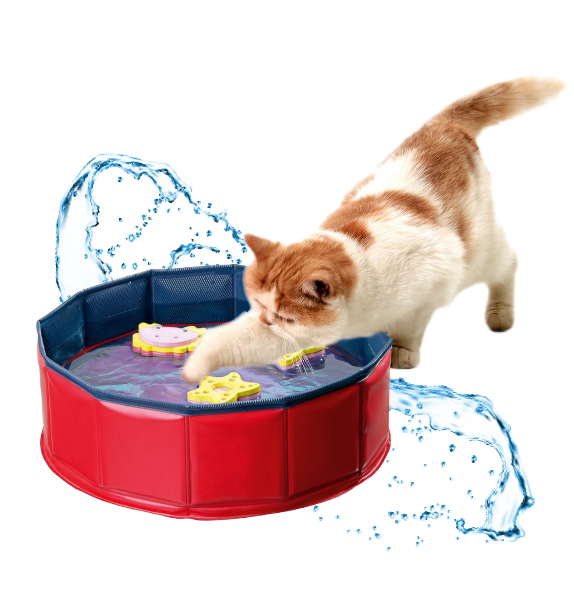 Piscine pour chats Kitty Lake