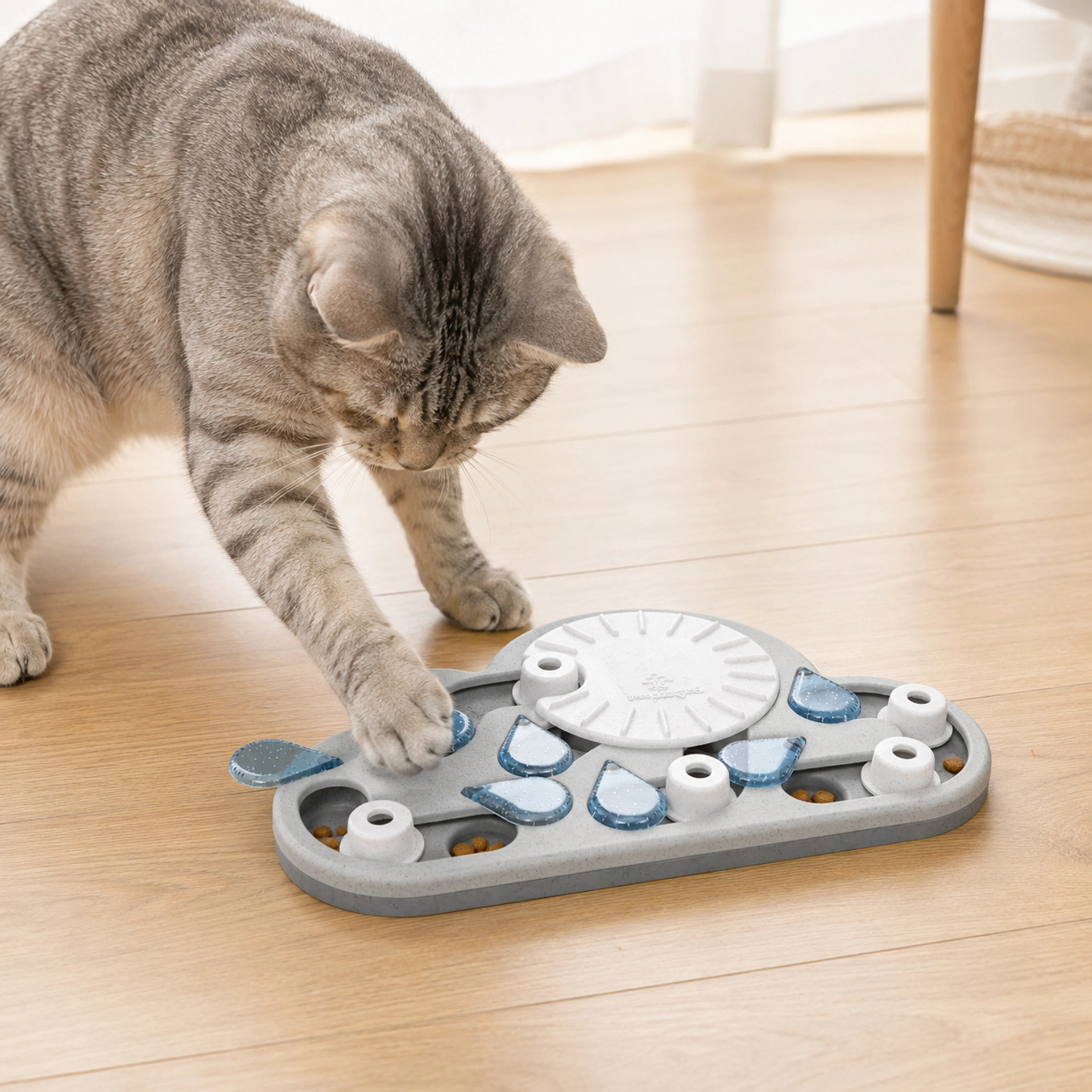 Beschäftigung für Katzen
