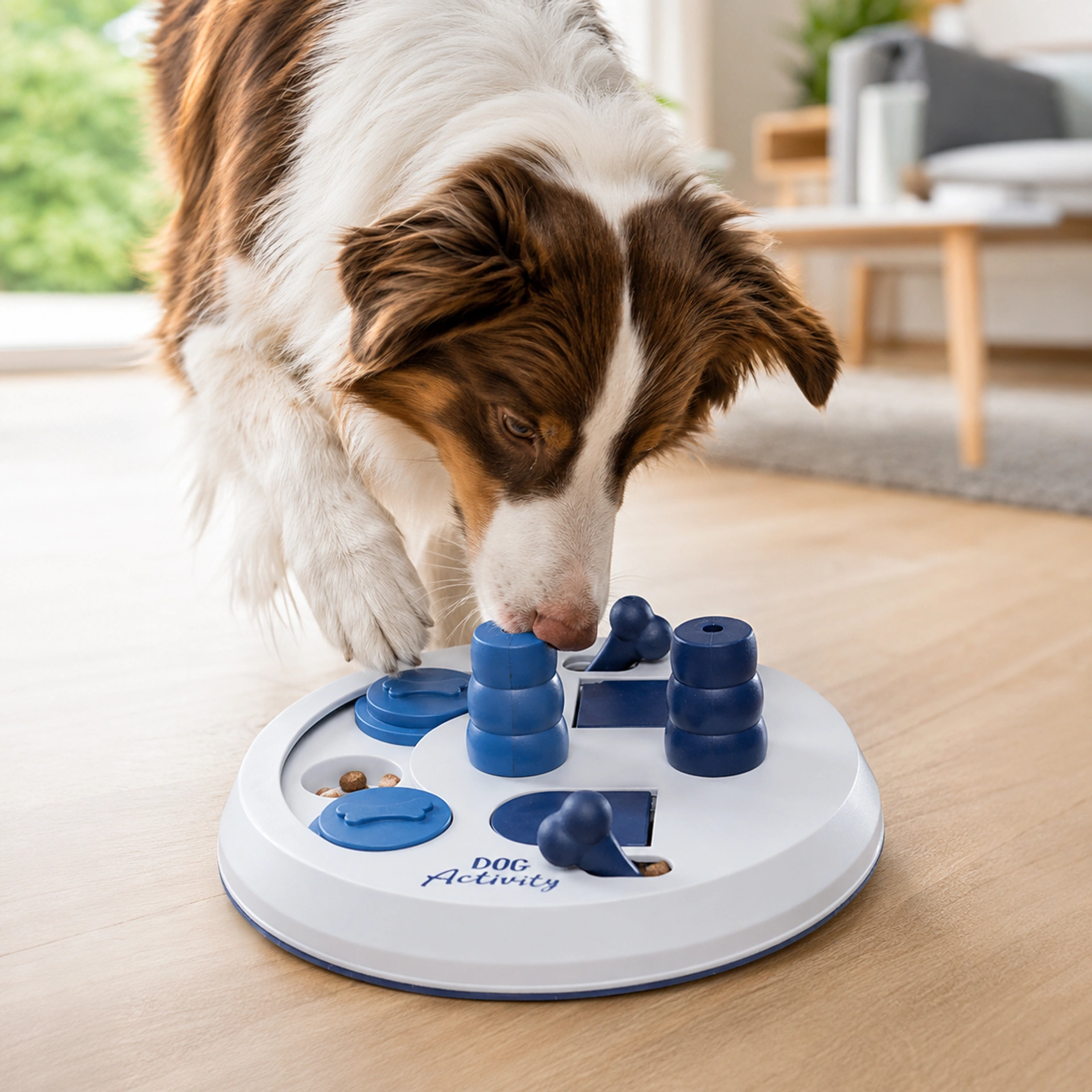  Beschäftigung für Hunde
