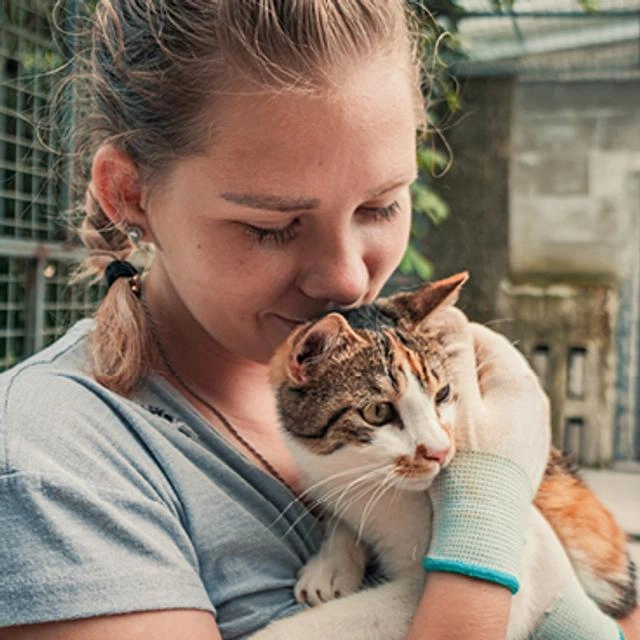 Frau hält eine dreifarbige Katze im Arm