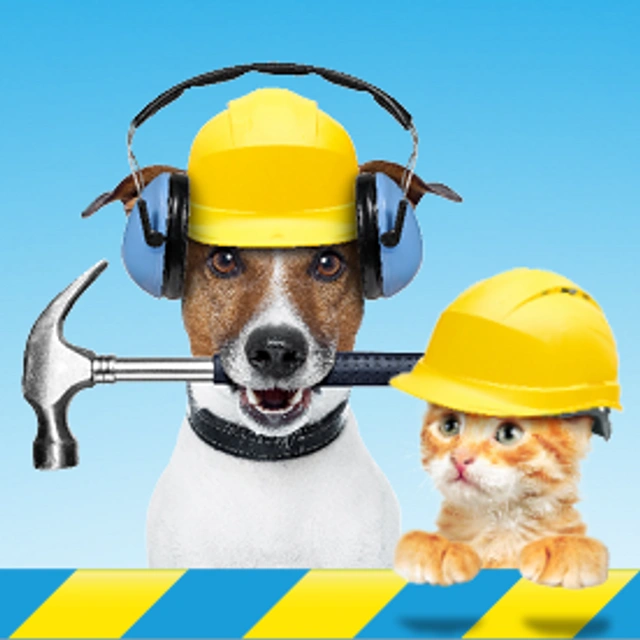Hund und Katze mit Bauhelm und Hammer
