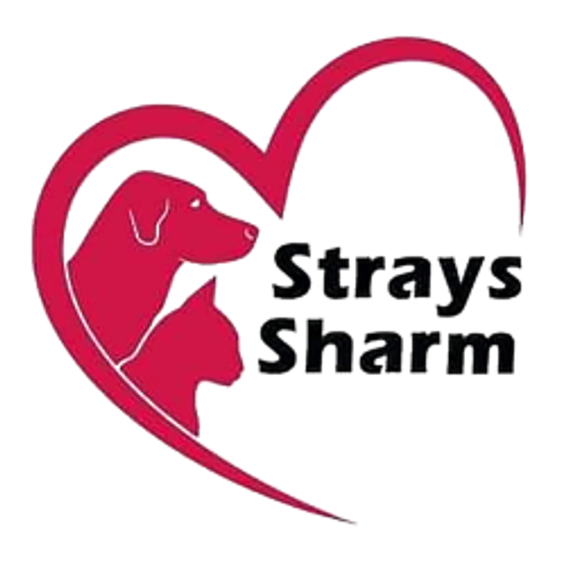 Das Logo des Verein Strays Sharm