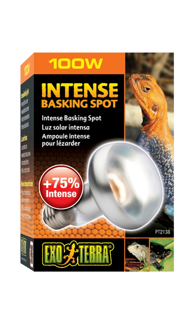 Verpackung einer Glühbirne für das Terrarium, Marke Exo Terra