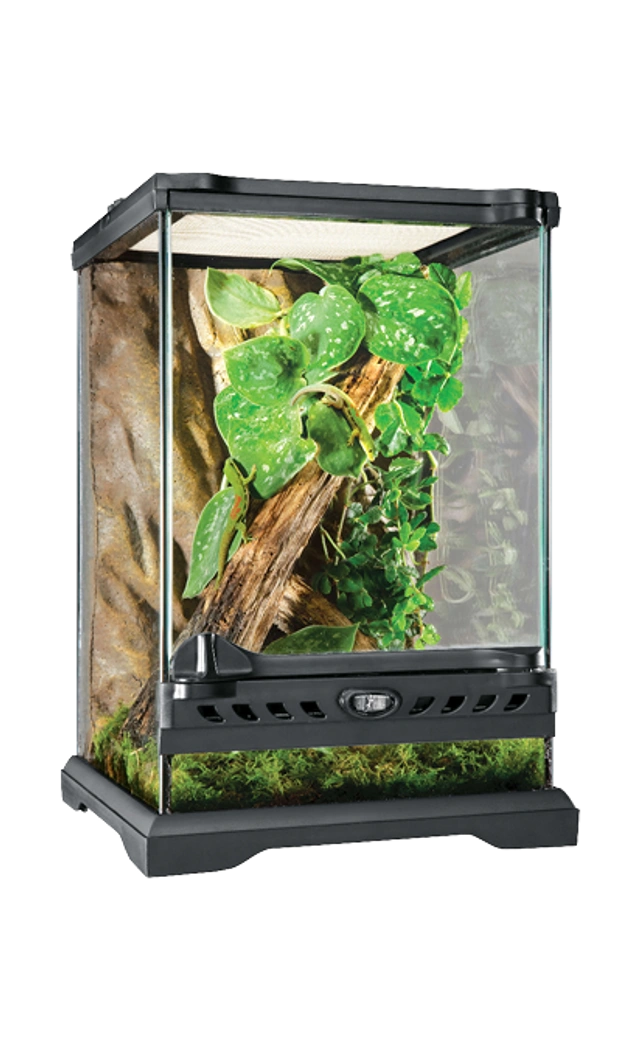 Terrarium mit Pflanzen und Ästen von Exo Terra