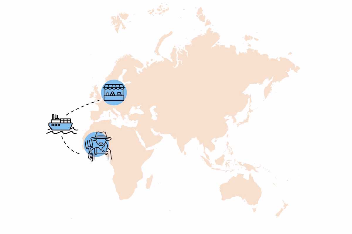 Grafik der idealen KoRo-Lieferkette am Beispiel der Fairtrade-Mangostreifen, mit direktem Weg vom Ursprung ins Lager