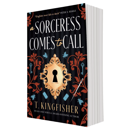 A Sorceress Comes to Call av T. Kingfisher