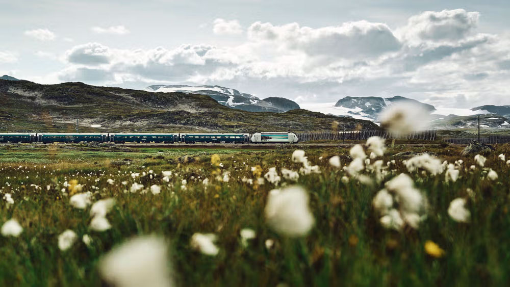 Bergensbanen kjører over Hardangervidda