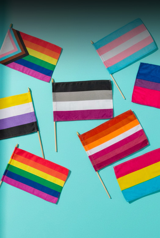 Håndflagg til Pride